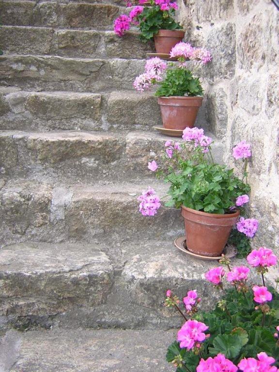 Mas Casta Nea Bed and Breakfast Thueyts Εξωτερικό φωτογραφία